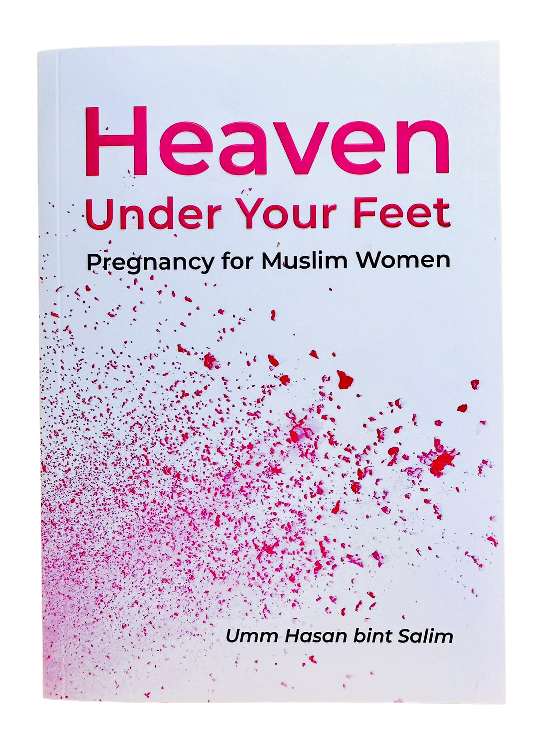 Heaven Under Your Feet By TA HA Publisher