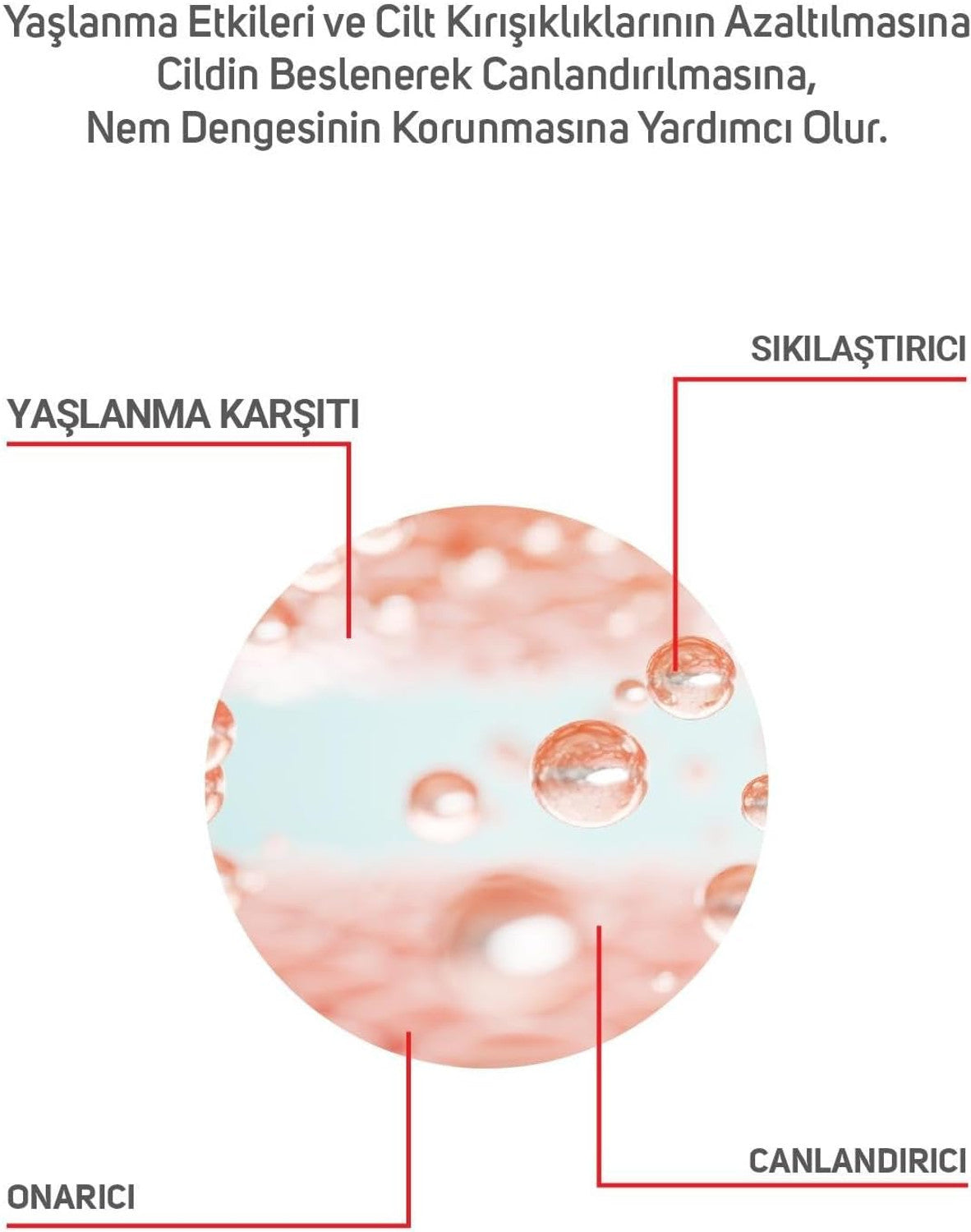 ClinicLab Anti-Aging & Lifting Serum 30ml – Firming & Youthful Skin Solution