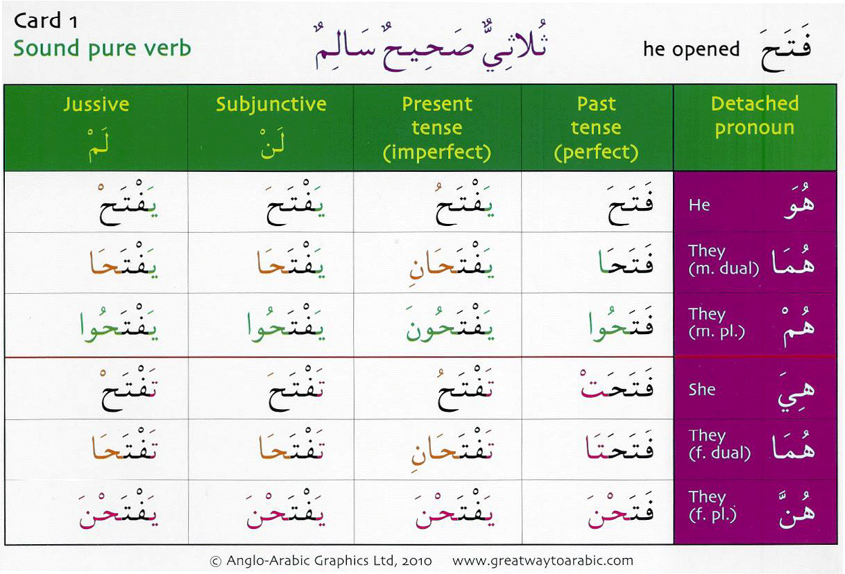 Gateway to Arabic Verb Conjugation Flashcards – Set One | Learn Arabic Verbs from the Basics 7