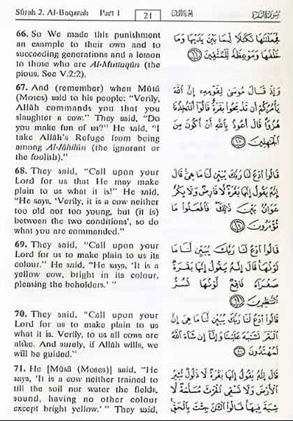 Interpretation of the Meanings of the Noble Qur’an (English) – Comprehensive English Qur’an Tafsir