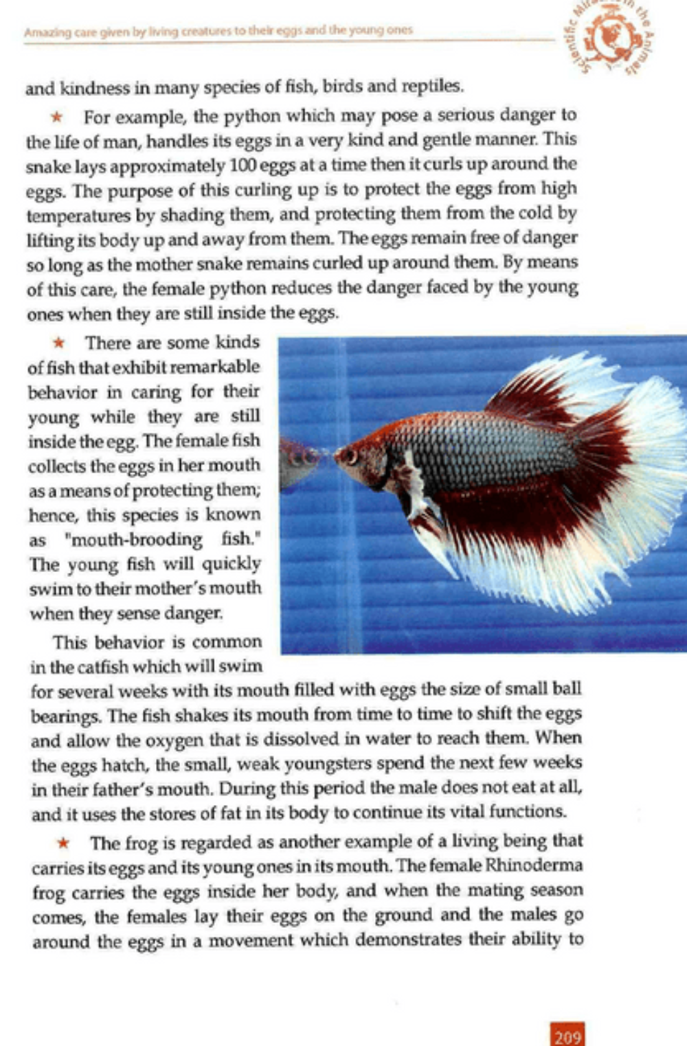 Scientific Miracles in the Oceans & Animals – Quran and Marine Life Explained-Islamicbrands.org