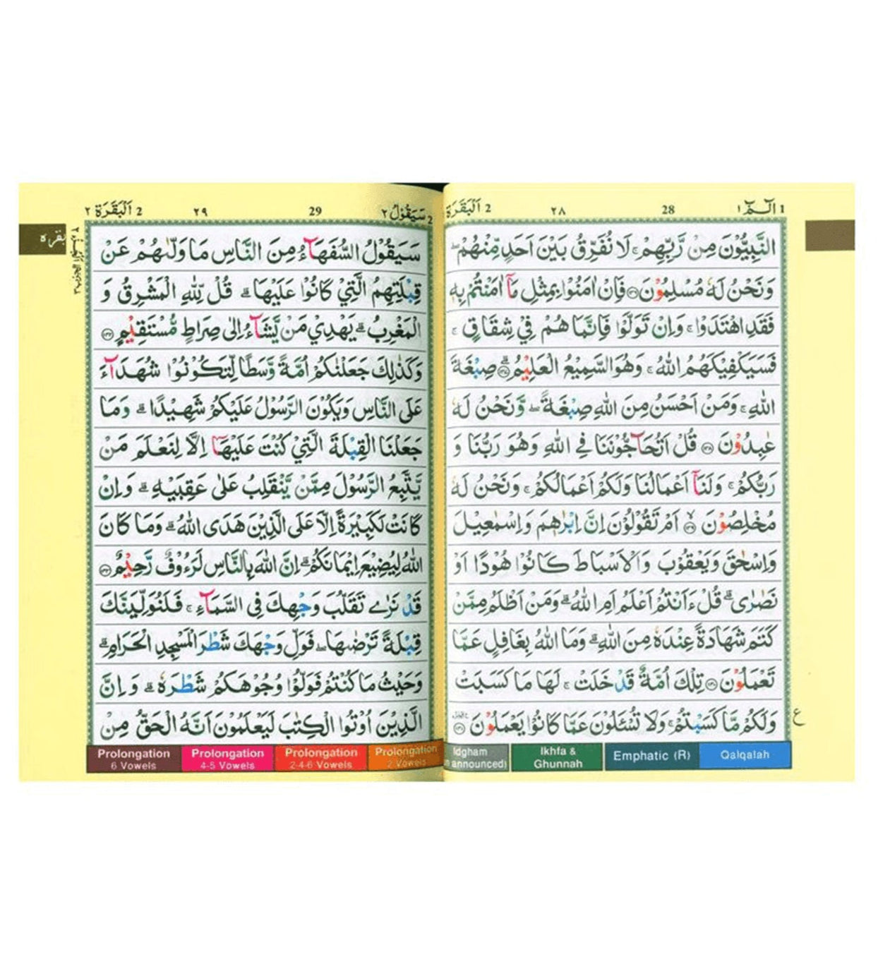 Tajweed Quran with Color Coded Rules – Pakistani-Indian-Persian Script (13x17)