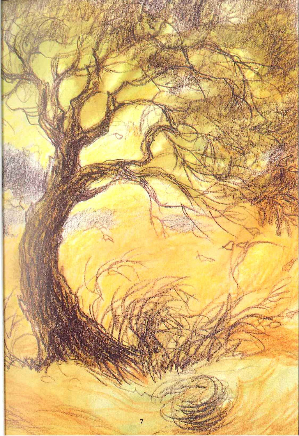 Parents Love and Other Islamic Stories – Kindness by Ishrat J Rumy