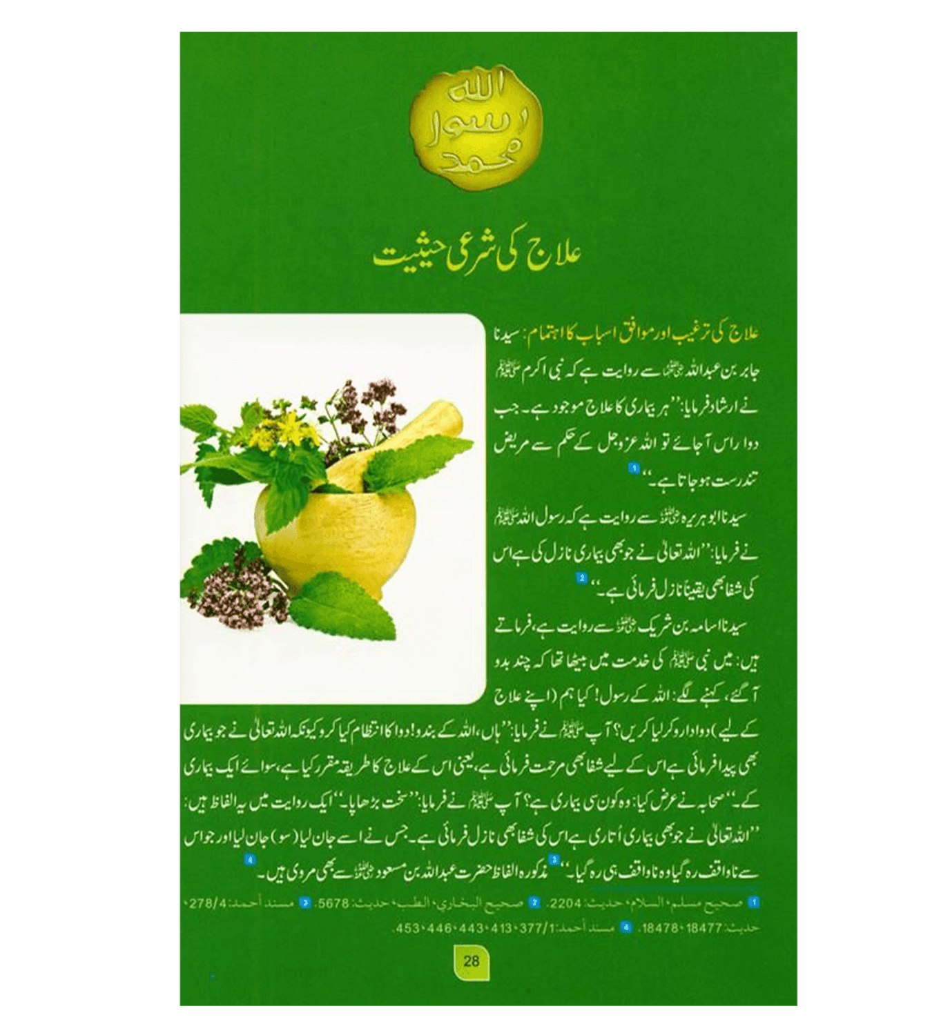 Medicine Of The prophet In (Urdu Language)طب النبي by Imam Ibn Qayyim Al-Jawziyyah