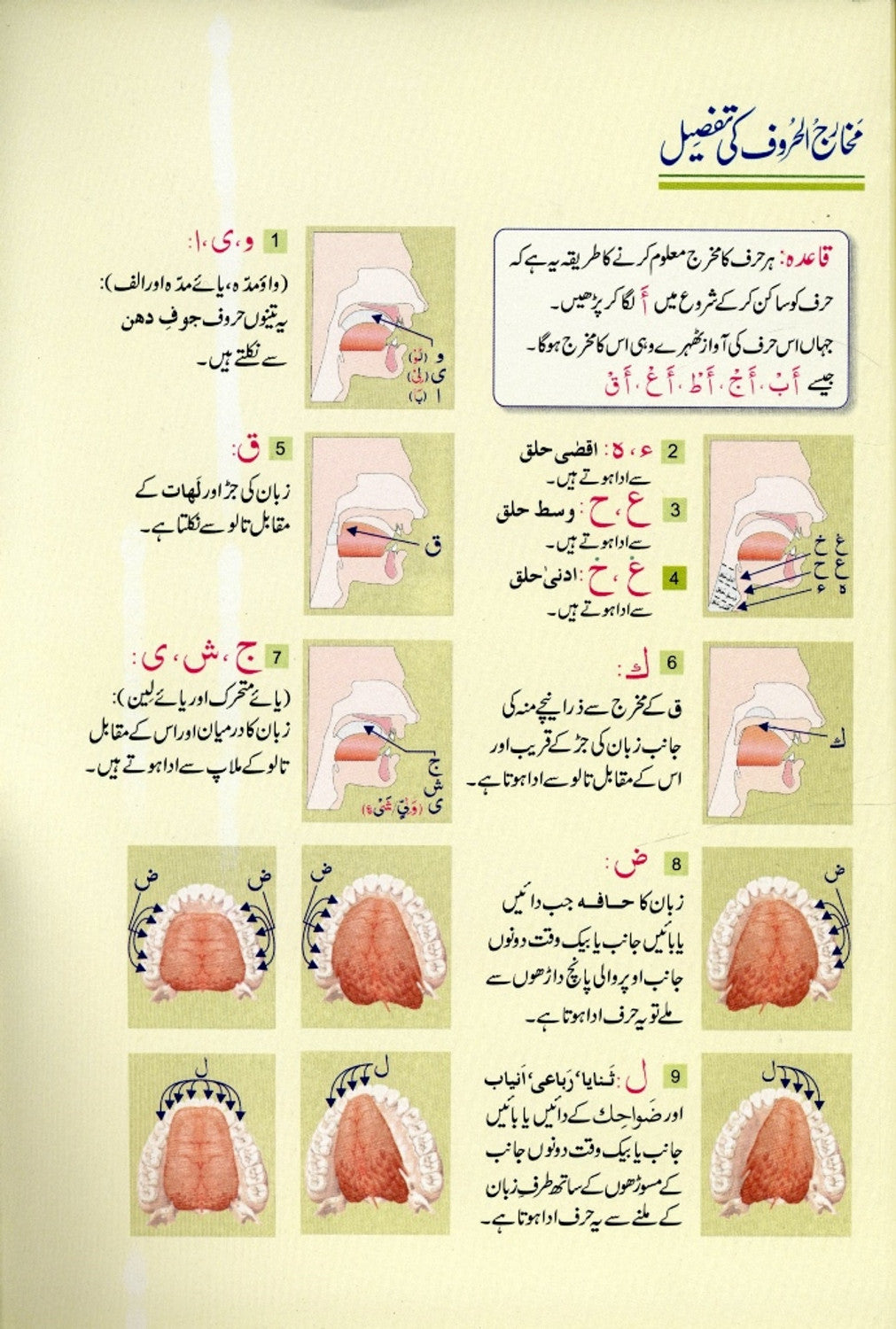 Qurani Qaidah by Darussalam (Urdu) by Qadri Muhammad Idrees