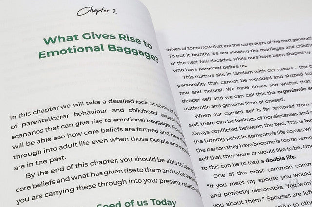 Secrets to Successful Families By Afshan Khan