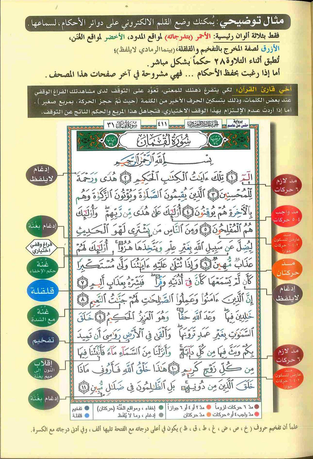 Tajweed Quran (Arabic Only) – Random Color and Multiple Sizes - Dar Al-Maarifah Easyquran