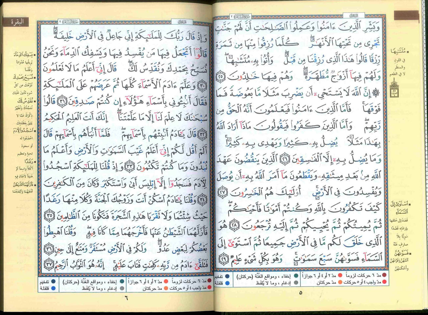 Tajweed Quran (Arabic Only) – Random Color and Multiple Sizes - Dar Al-Maarifah Easyquran