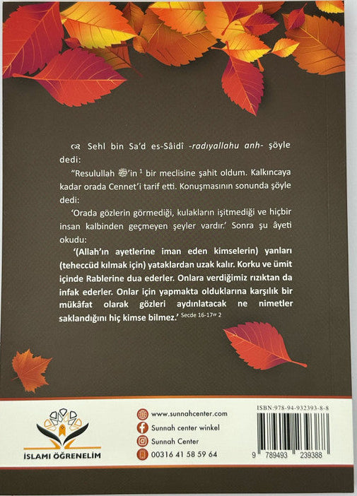 description of paradise turkish language