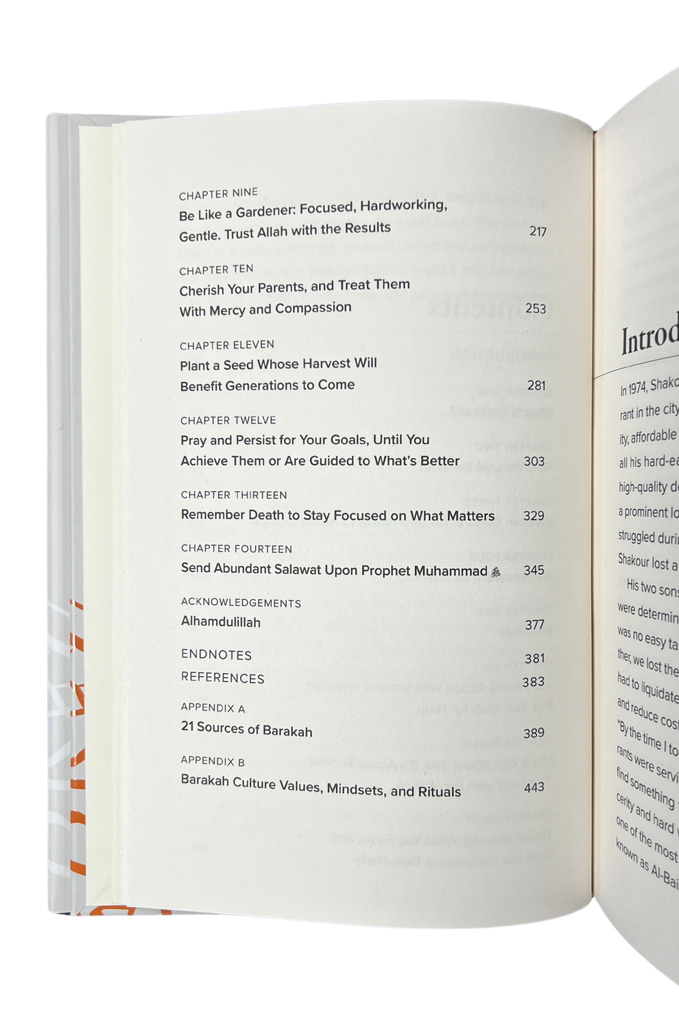 The Barakah Effect – More With Less | Islamic Productivity & Barakah Guide by Mohammed Faris