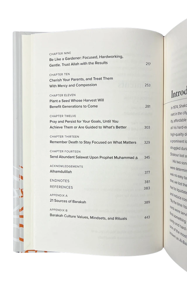 Islamic Productivity Books – The Barakah Effect & The Productive Muslim by Mohammed Faris