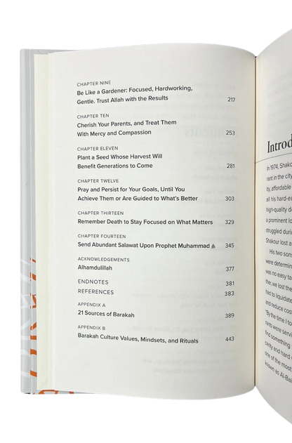 Islamic Productivity Books – The Barakah Effect & The Productive Muslim by Mohammed Faris