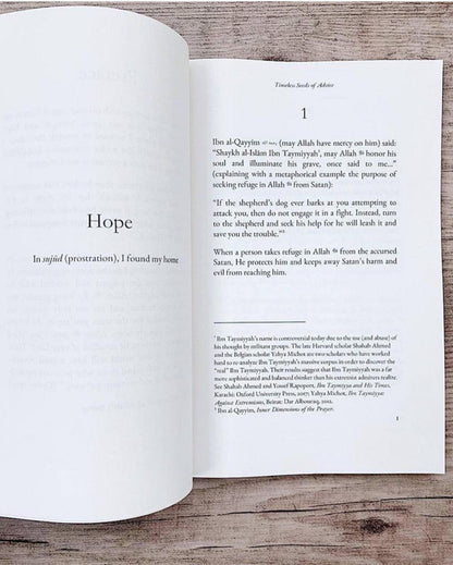 Timeless Seeds of Advice | Islamic Self-Development & Purification of the Heart Book