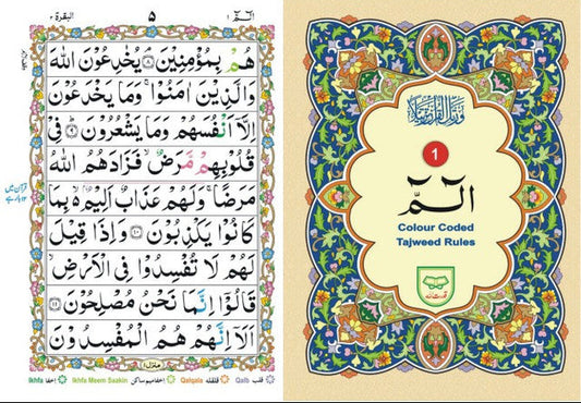 30 Parts Set Tajveedi Quran Juz – Color Coded Arabic Mushaf with Leather Case