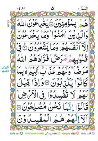 30 Parts Set Tajveedi Quran Juz – Color Coded Arabic Mushaf with Leather Case