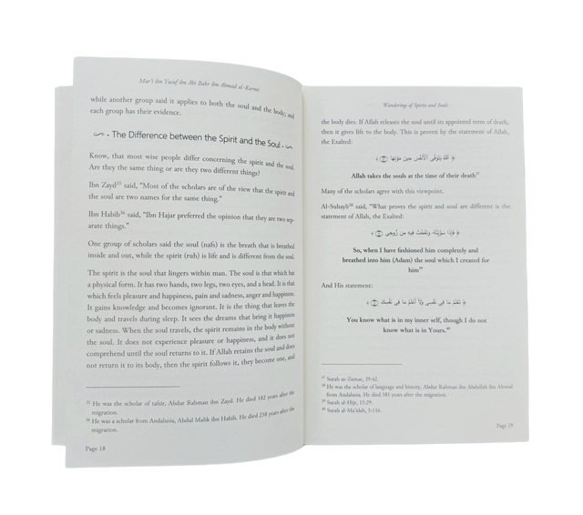 Wanderings of Spirits and Souls – English Softcover Edition.