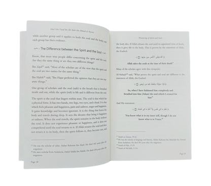 Wanderings of Spirits and Souls – English Softcover Edition.