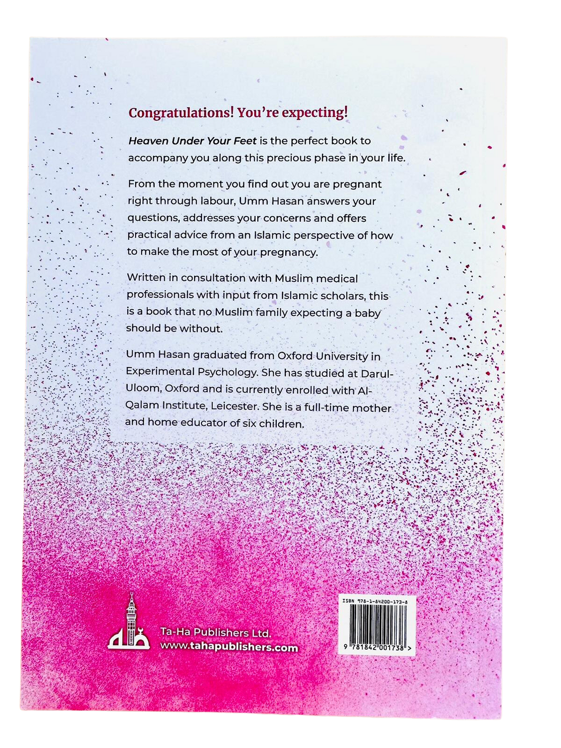 Heaven Under Your Feet By TA HA Publisher