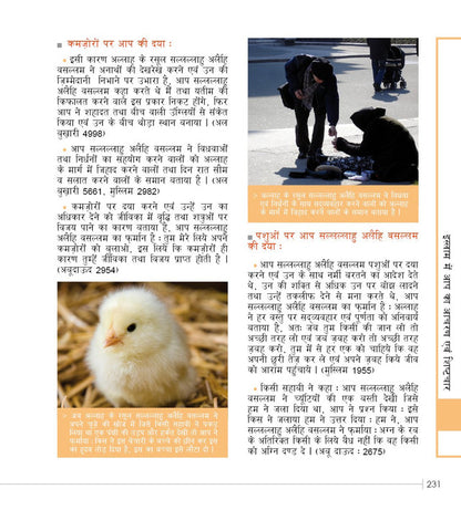 New Muslim Guide — नव मुस्लिम मार्गदर्शिका (Hindi)