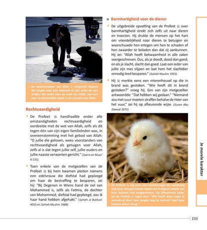 New Muslim Guide: Handleiding voor Nieuwe Moslims (Middle Dutch) — Illustrated Guide for New Muslims and Seekers of Islam