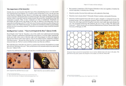 The Clear Signs of the Quran (Vol 1 & 2 Set) |Quran & Science|History and Evidence Book