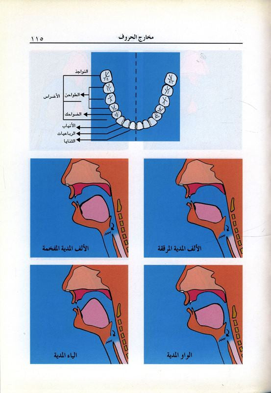 Al-Muneer المنير في أحكام التجويد – Arabic Tajweed Learning Book