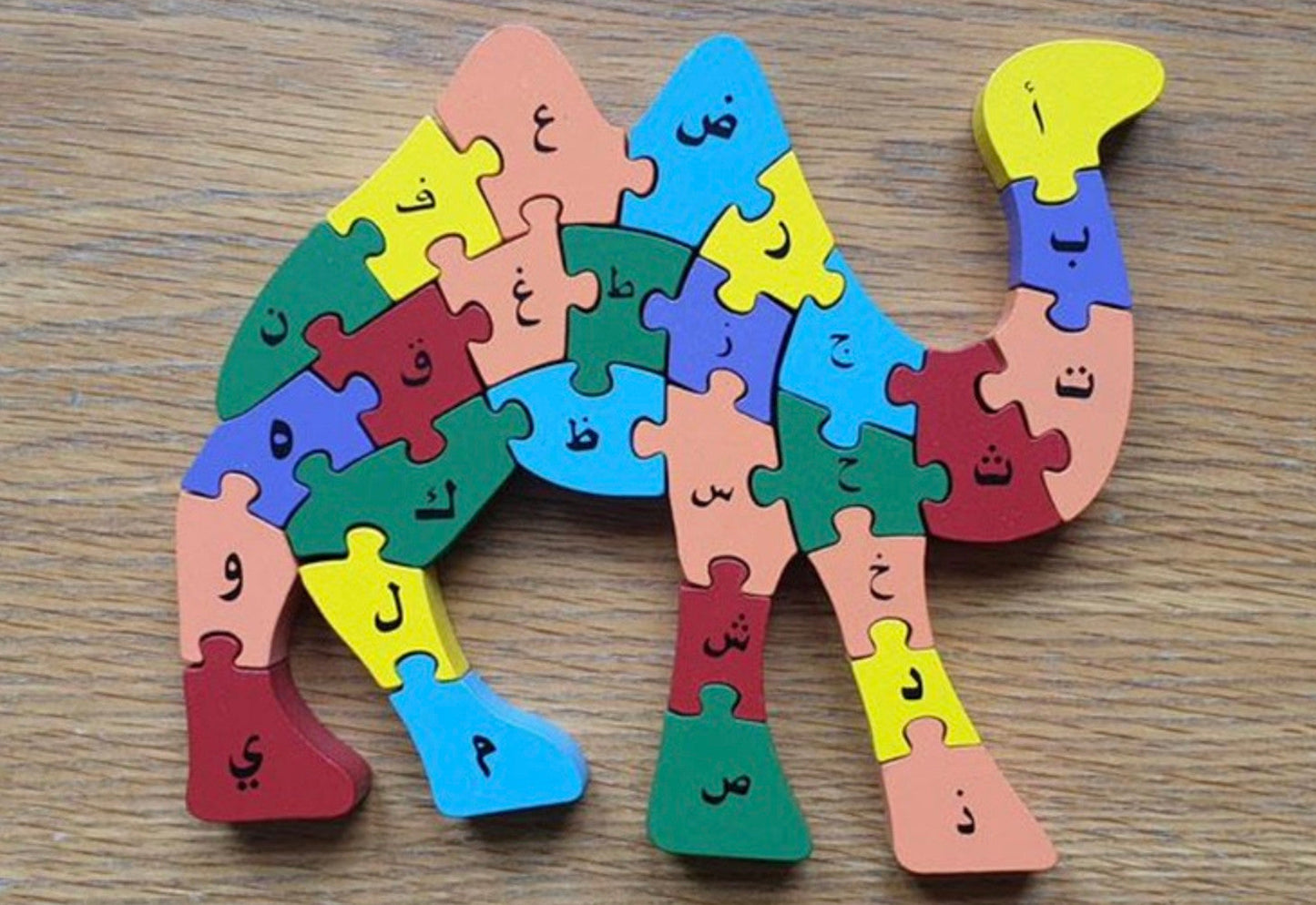 Alphabet Camel – Arabic & English Interactive Learning Toy for Kids 3