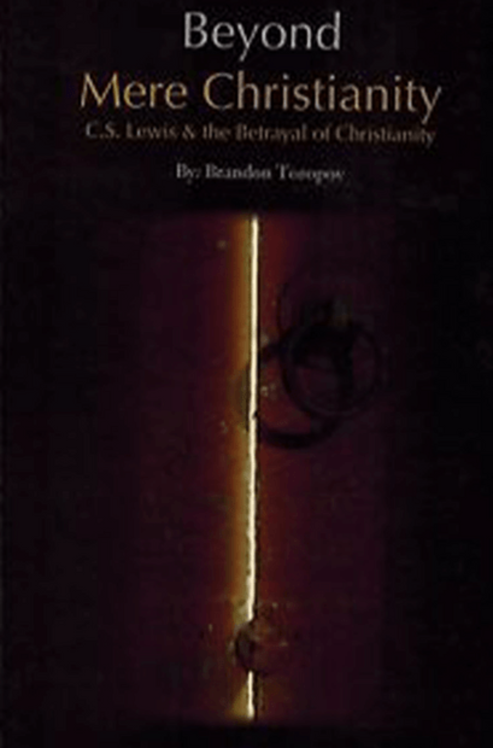 Beyond Mere Christianity  | Comparative Religion & Christian Critique Book   www.islamicbrands.org