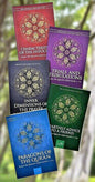 Dar as Sunnah Classic Collection | 5 Books Set (Ibn Qayyim Al--Jawziyyah) By Dar as sunnah
