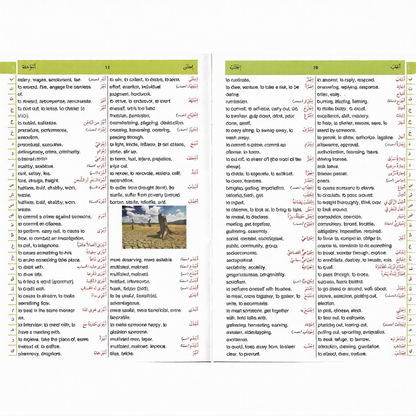 Al Kafi Double Language Dictionary for Arabic and English Learners