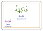 Gateway to Arabic Flashcards – Set Three | Arabic Verb Conjugation & Vocabulary Learning Cards 5
