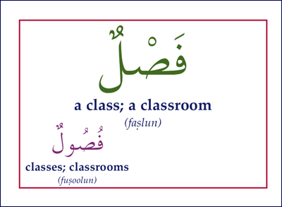 Gateway to Arabic Flashcards – Set Two | Arabic Verb Conjugation & Vocabulary Learning Cards 6