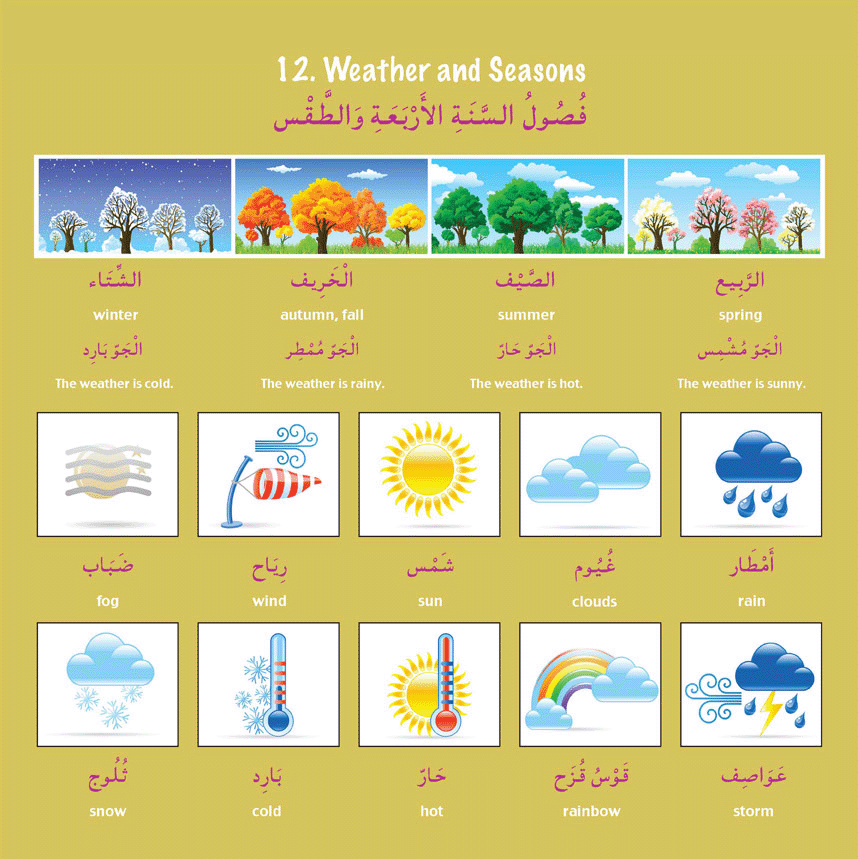 Gateway to Arabic Picture Pad – Visual Arabic Vocabulary Learning Pad ...