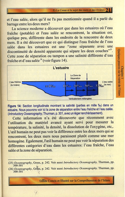 Guide Concis et Illustré pour Comprendre l’Islam – French Edition | A Brief Illustrated Guide to Understanding Islam