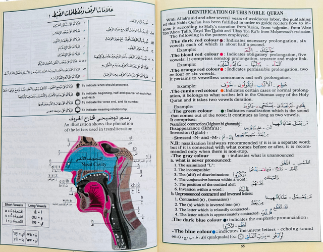 Large Tajweed Quran with English Translation & Transliteration – Colour Coded Tajwid Quraan for Easy Recitation