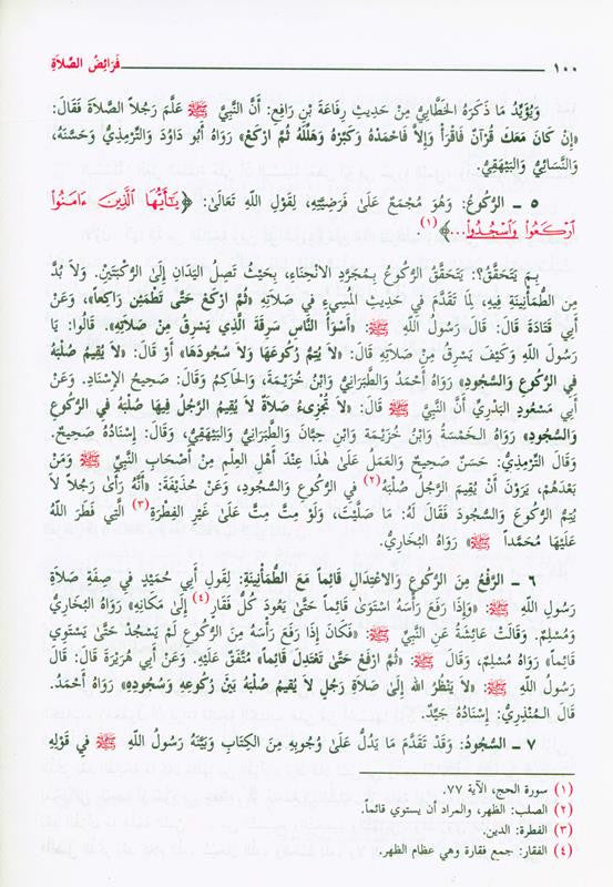 فقه السنة | Fiqh of the Sunnah (Arabic) by Sayyid Sabiq | Complete Islamic Jurisprudence Guide