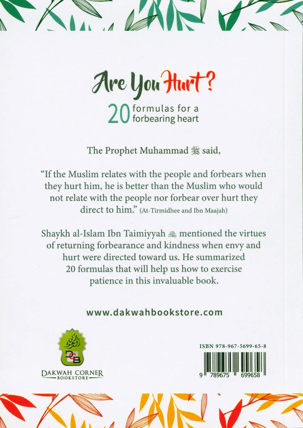 Are You Hurt? 20 Formulas for a Forbearing Heart | Ibn Taymiyyah on Patience, Forgiveness