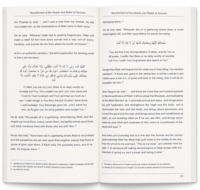 Nourishment of the Hearts & Relief of Sorrows by Shaykh Faysal Aal Mubarak | Islamic Spirituality
