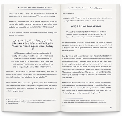 Nourishment of the Hearts & Relief of Sorrows by Shaykh Faysal Aal Mubarak | Islamic Spirituality
