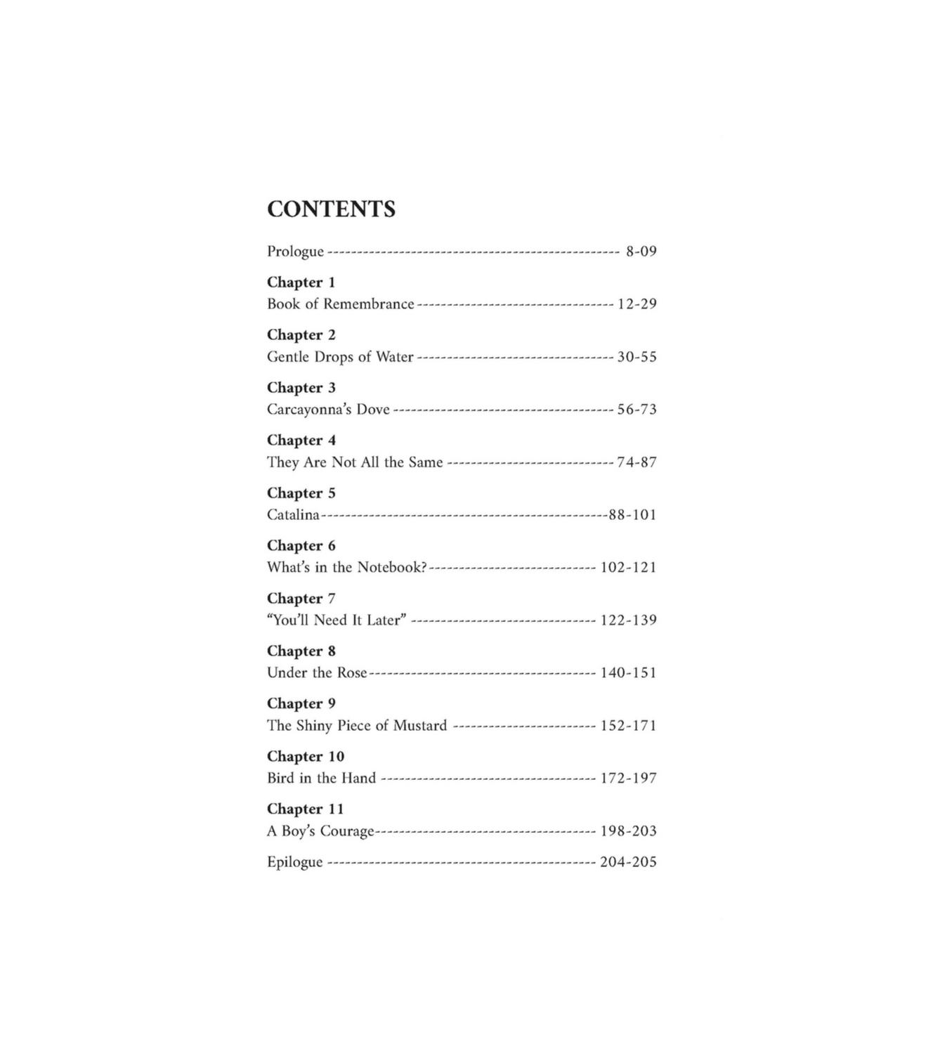 Shadows of Strangers | Thrilling Islamic Mystery & Adventure Novel for Young Adults