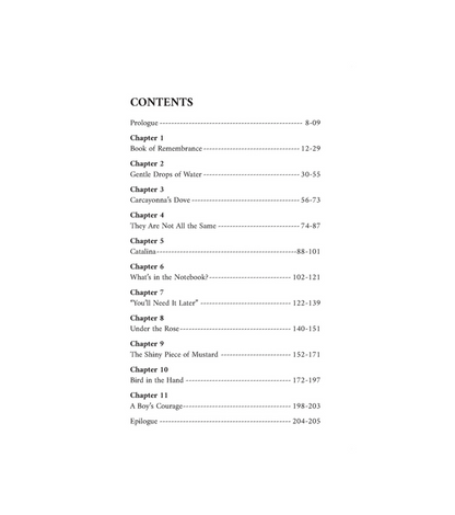 Shadows of Strangers | Thrilling Islamic Mystery & Adventure Novel for Young Adults