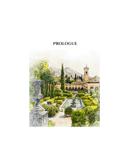 Shadows of Strangers | Thrilling Islamic Mystery & Adventure Novel for Young Adults