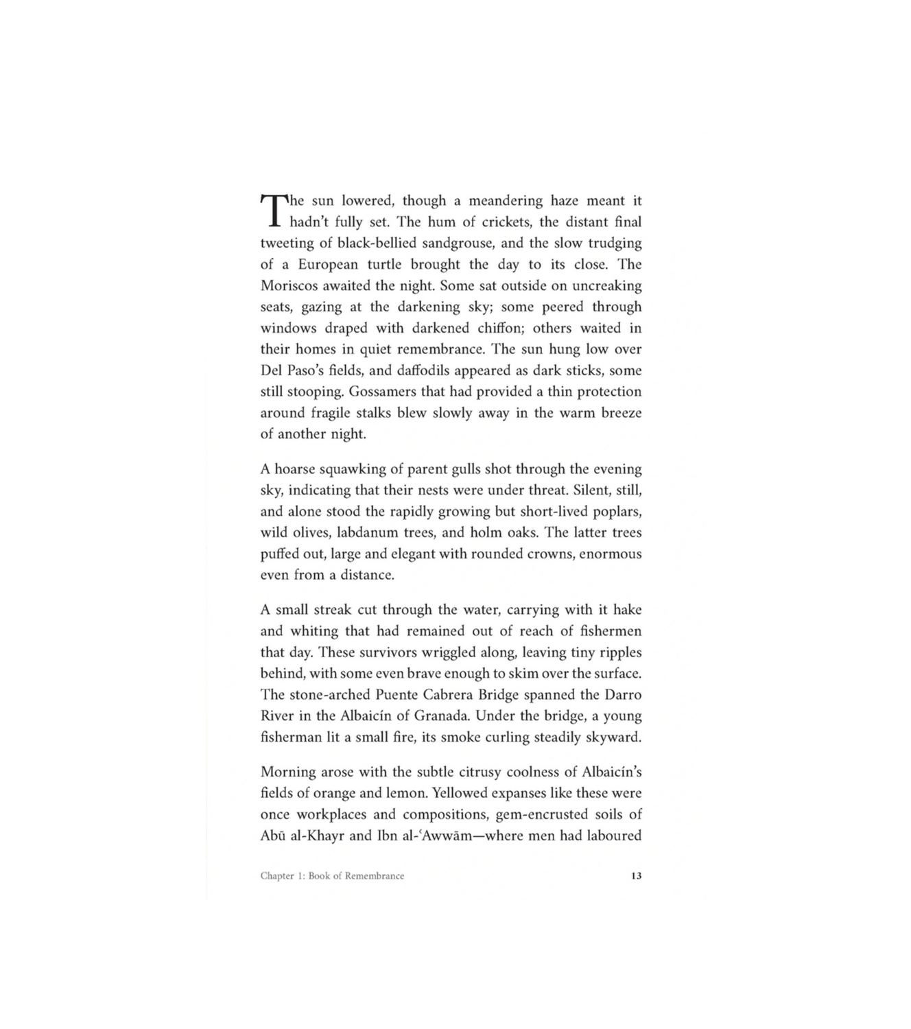 Shadows of Strangers | Thrilling Islamic Mystery & Adventure Novel for Young Adults