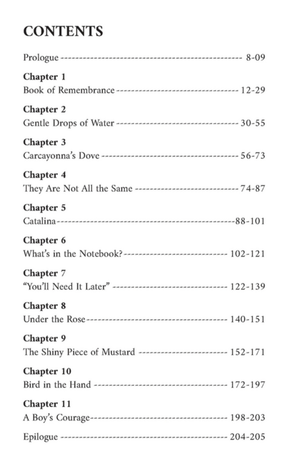 Shadows of Strangers – A Powerful Islamic Historical Novel by Dr Osman Latif-islamicbrands.org