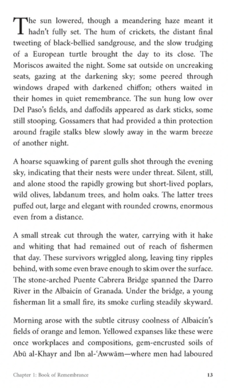 Shadows of Strangers – A Powerful Islamic Historical Novel by Dr Osman Latif-islamicbrands.org