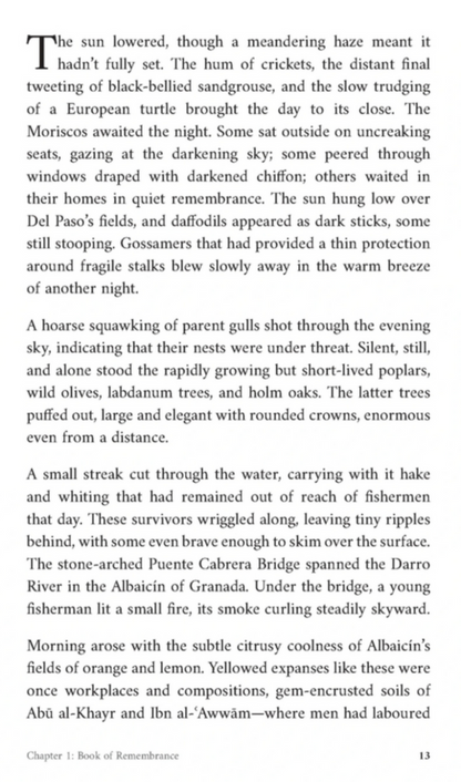 Shadows of Strangers – A Powerful Islamic Historical Novel by Dr Osman Latif-islamicbrands.org