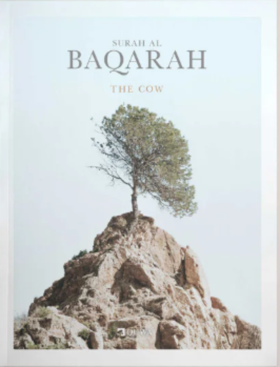 Surah Al-Baqarah (The Cow) – Complete Quran Chapter with English Translation & Reflection-islamicbrands.org