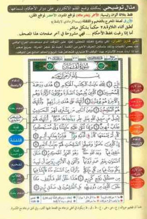 Tajweed Quran  Arabic Bundle – Complete Color-Coded Quran Set for Accurate Recitation-islamicbrands