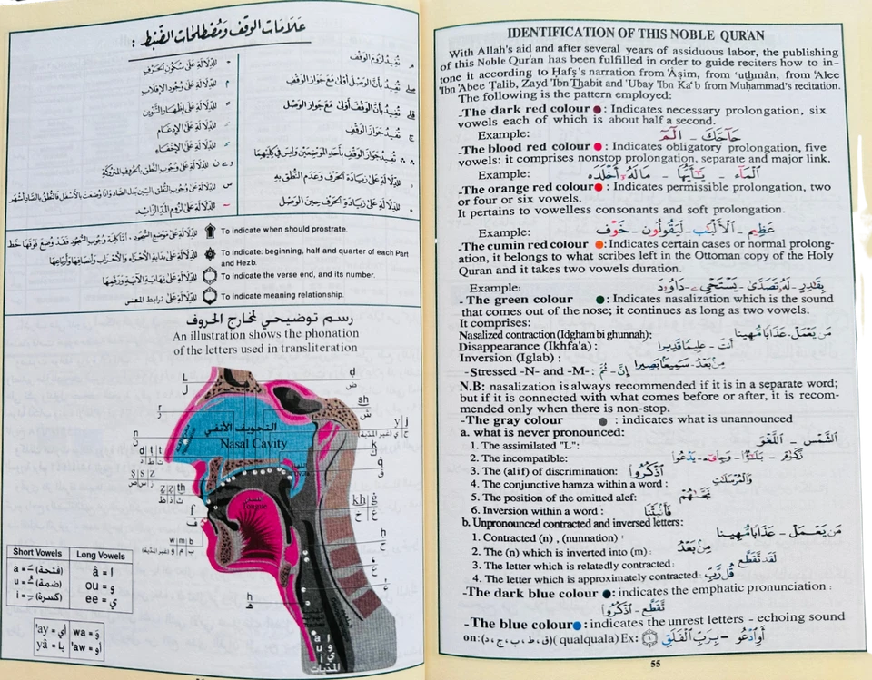 Tajweed Quran with English Translation & Transliteration – Colour Coded Uthmani Script, Hardback Red


