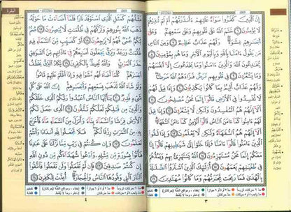 Tajweed Quran - Color-Coded Arabic Edition (Medium Size - 2771)
